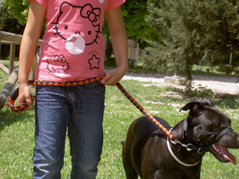 Mascota en casa con bebés y niños