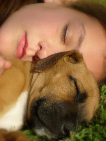 Alergia a las mascotas